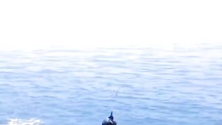 Funny tiktok fishing
