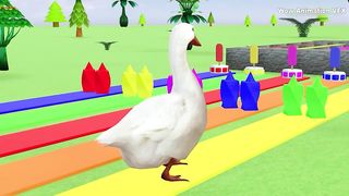 Duck Cartoon vs Gorilla, Paint and Animals Lion, Gorilla, Elephant, Transformed into Wild Animals