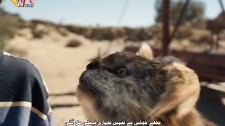 Unleashing the Best Hollywood Movie You've Never Seen! ????
