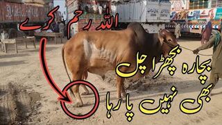Unloading Hi Unloading ???????? | New General Block Open ???? | AR Maani