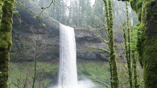Love Nature 2