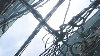 Rain In the town - [AMV]