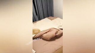 funny animals
