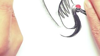 Handmade Drawing Bird & Butterfly | How to made drawing..