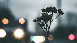 One Day Song Lyrics