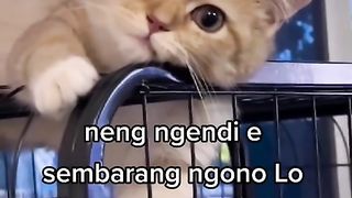 Takut kesurupan aku rek