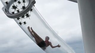 il s'est retrouvé coincé dans un TOBOGGAN AQUATIQUE INFESTÉ D'ARAIGNÉES..
