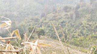 Scenery 3