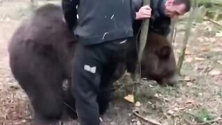 ###тик-ток###layki##