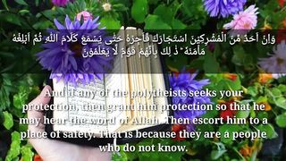 Surah at-taubah ayat 6 (pengampunan)