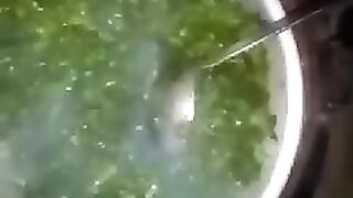Organic fried vigetable
