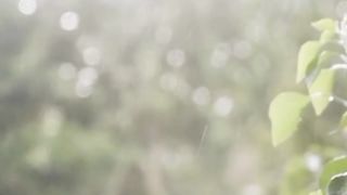 Relaxation Sound | Drizzling Rain in The Morning