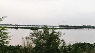 nature 13