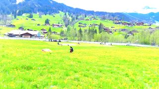 Grindelwald