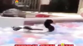 Random Funny Videos |Try Not To Laugh Compilation | Cute People And Animals Doing Funny Things p44