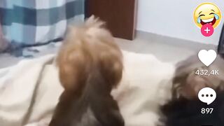 The FUNNIEST TIK TOK MEMES OF MAY 2023