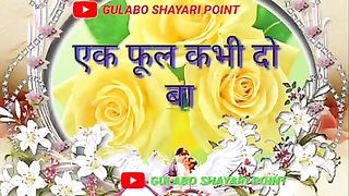 Good morning  Shayari ???? status ????Love Shayari
