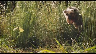 Doggy Style (2023) - Official Movie Trailer | Will Ferrell, Jamie Foxx and Will Forte