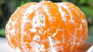 The cat is making orange jelly