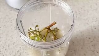 Raisain blender hack
