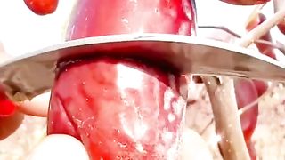 New video 2023 chine__fruits (@chine__fruits)_4.