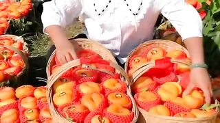New video 2023 chine__fruits (@chine__fruits)_4. 7