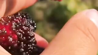 New video 2023 chine__fruits (@chine__fruits)_4. 8