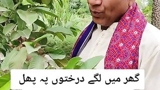 New video 2023 chine..fruits (@chine__fruits)_4.