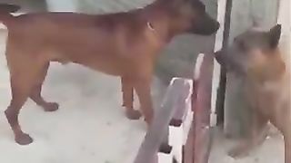 Fighting who never started