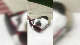 Funny TikToks that make my Monday better 28