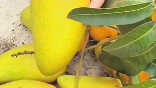 New video 2023...China Frouy,Beutiful Frout... 8
