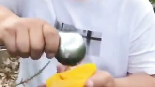 New video 2023...China Frouy,Beutiful Frout... 11