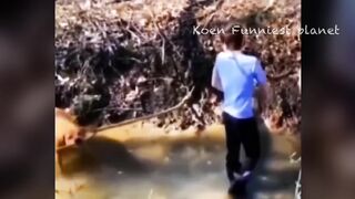 Very funny 40