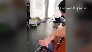 Interesting videos 2