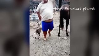 Funny things 2