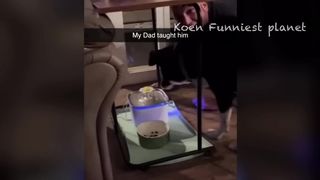 Very interesting animals