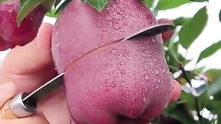 Oque você acha dessa fruta