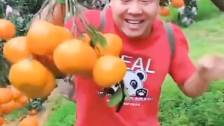 New video 2023..new china frout.beutiful.frout mp.4