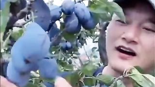 New video 2023..new china frout.beutiful.frout mp.4 2