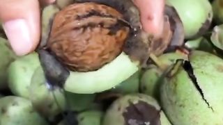 New video 2023..new china frout.beutiful.frout..