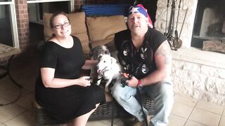Jack Russell Terrier _Jax_ & Pit Bull _Stella_ _ Owner Testimony _ San Antonio Dog Trainer