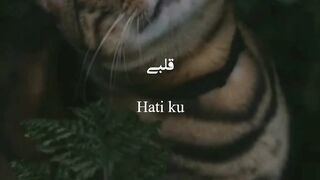 Quoters story