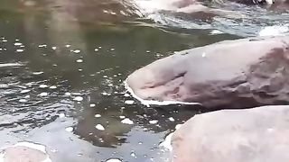 beauty of world/korang river Bhara kahu Islamabad pakistan/sohailT22vlog