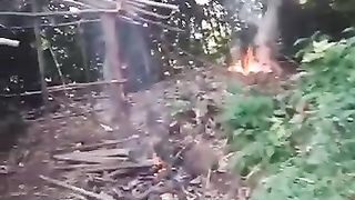 Kenapa ya