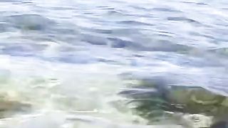Wild Encounter With A Big Hammerhead Shark by YBS youngbloods