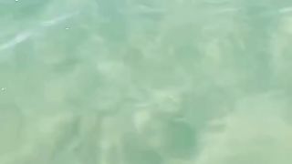 Huge Shark Bites My Paddle Board by YBS youngbloods
