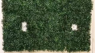Grass Wall DIY