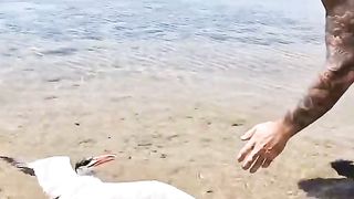 Sea Bird Stuck In Extreme  Weather by YBS youngbloods