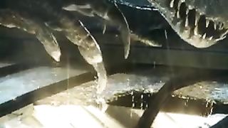 Jurassic world 2 Episode 32