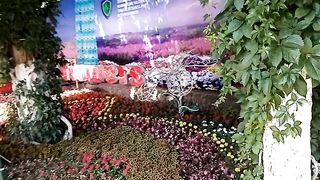 ФЕСТИВАЛЬ ЦВЕТОВ 3